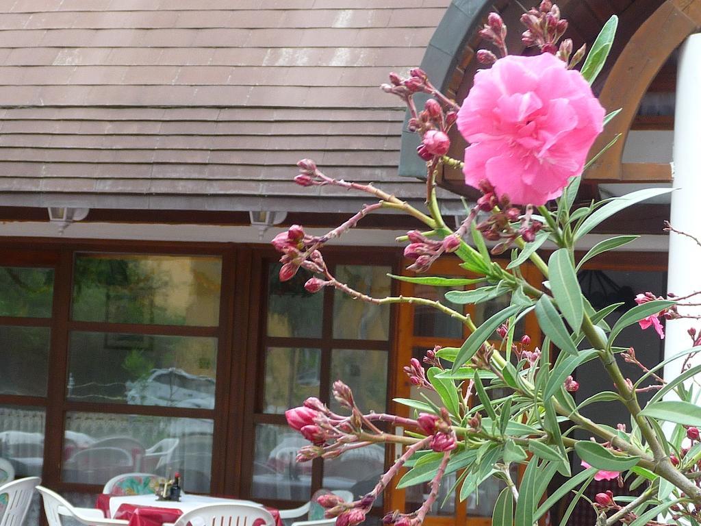 Oleander B&B Siofok Bagian luar foto